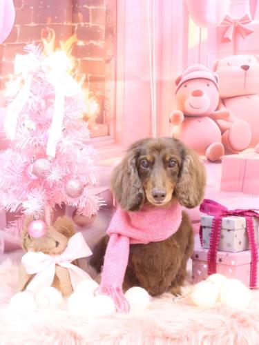 20241221ジョナくん